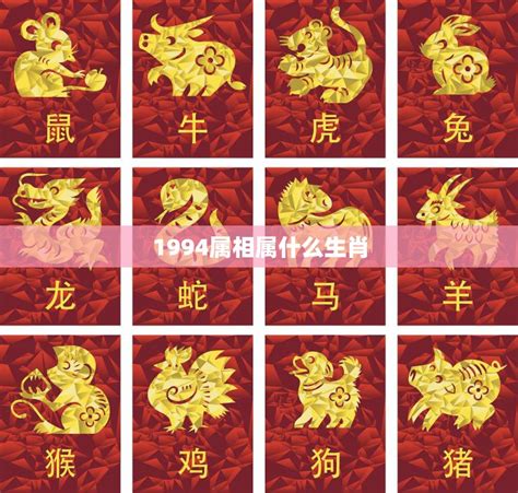 1994年屬|1994 年出生属什么生肖